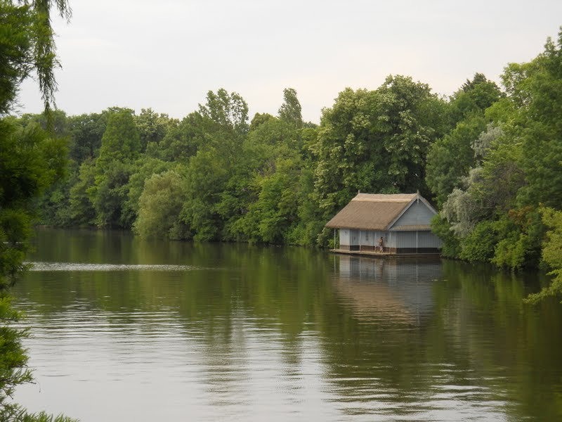 258673_112804038810825_7614080_o