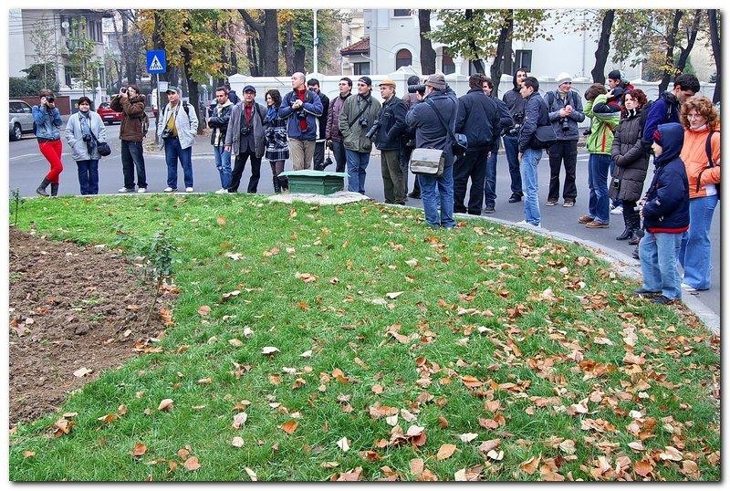 portret-de-alexandru-dinu-serban_13