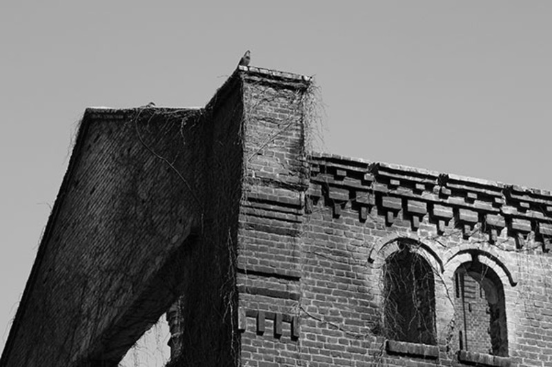 spiridon_2013_03_03_0043-mic