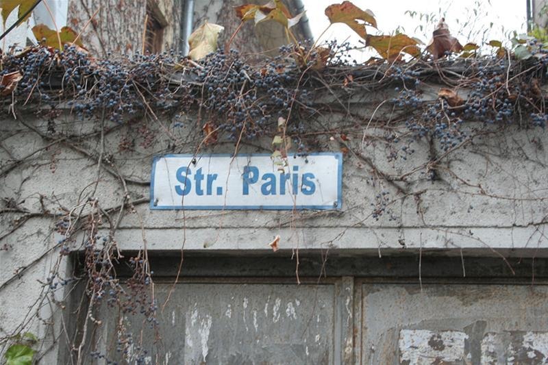 roberto_cartier_bonaparte_03