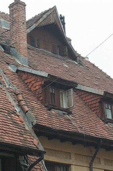 roberto_cartier_bonaparte_17