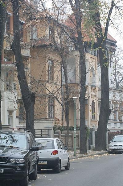 roberto_cartier_bonaparte_19