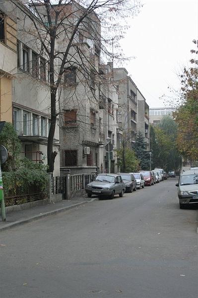 roberto_cartier_bonaparte_38