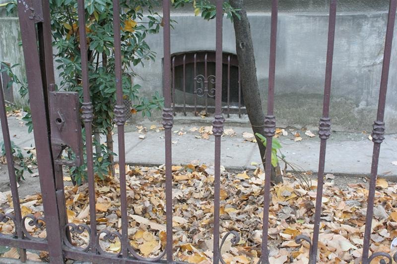 roberto_cartier_bonaparte_46