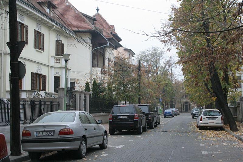 roberto_cartier_bonaparte_52