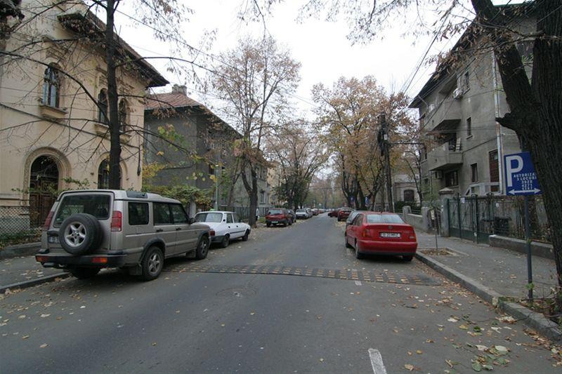 roberto_cartier_bonaparte_59