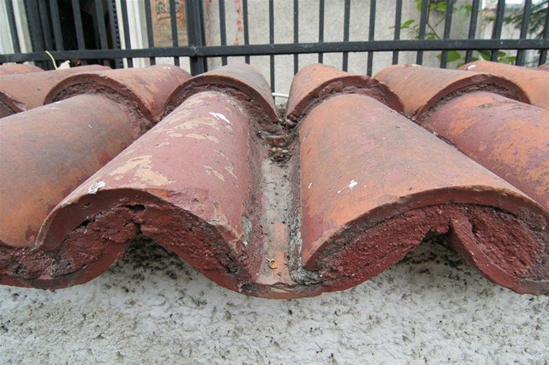 roberto_cartier_bonaparte_62