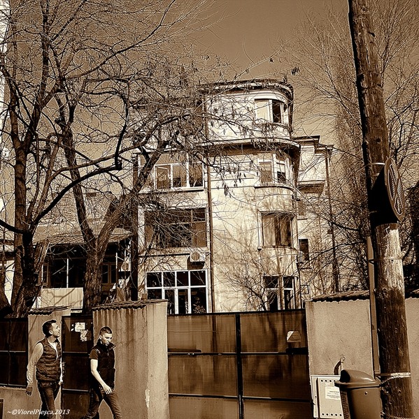 CA POLICARBONATU'N POARTA 