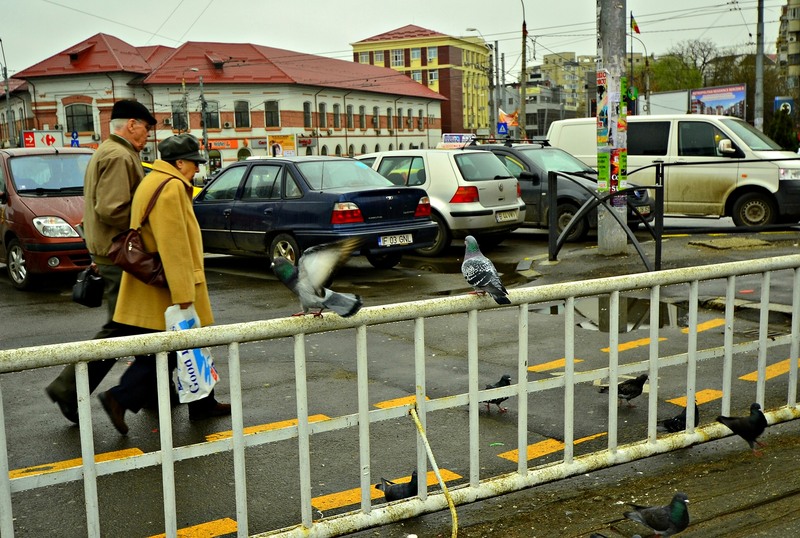 2-trecatori-si-porumbei