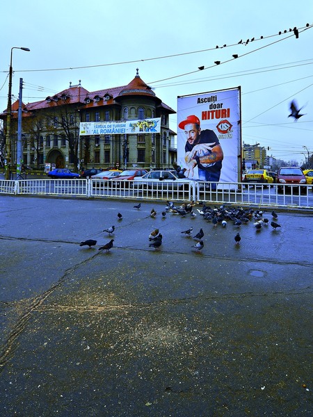 liceul-sincai-porumbei-reclama