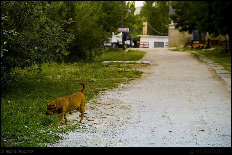 andrei_vocurek_kerucov_tei_toboc_03
