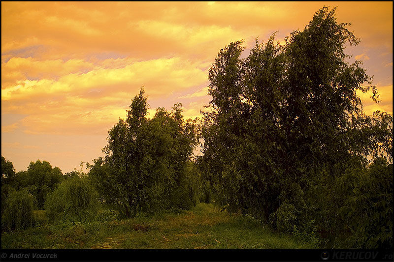 andrei_vocurek_kerucov_tei_toboc_04