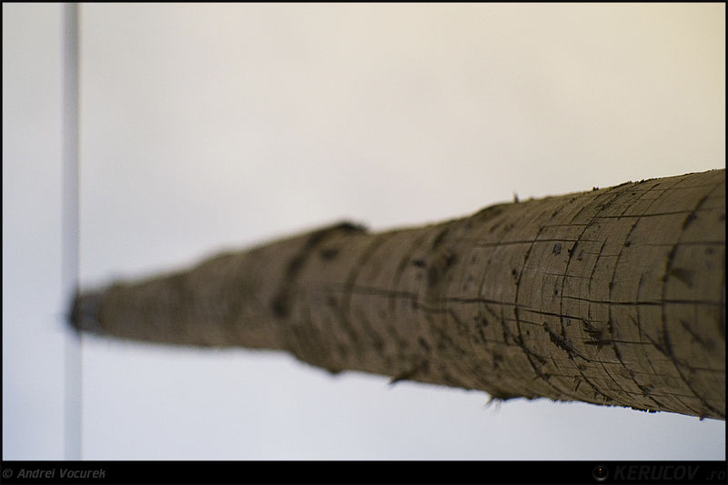 andrei_vocurek_kerucov_tei_toboc_25