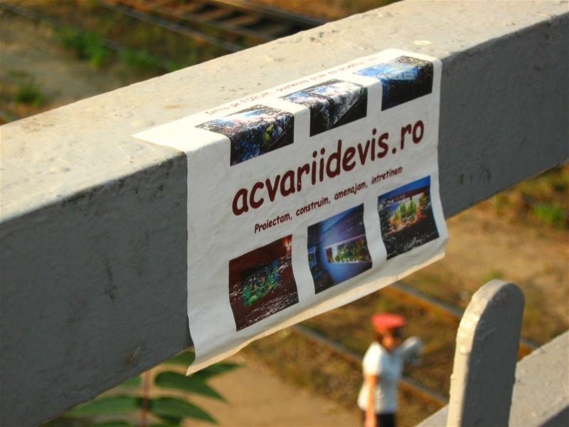 gabrielem_060908_015