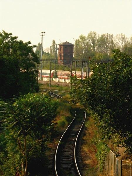 gabrielem_060908_017