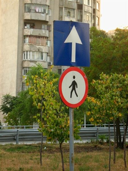 gabrielem_060908_020