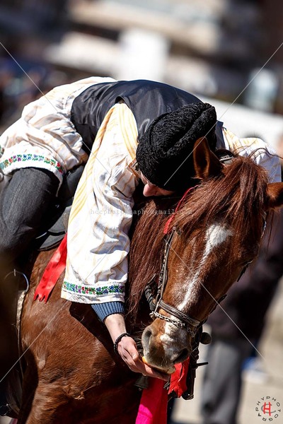 pastele-cailor_20130323_0109-copy_ok