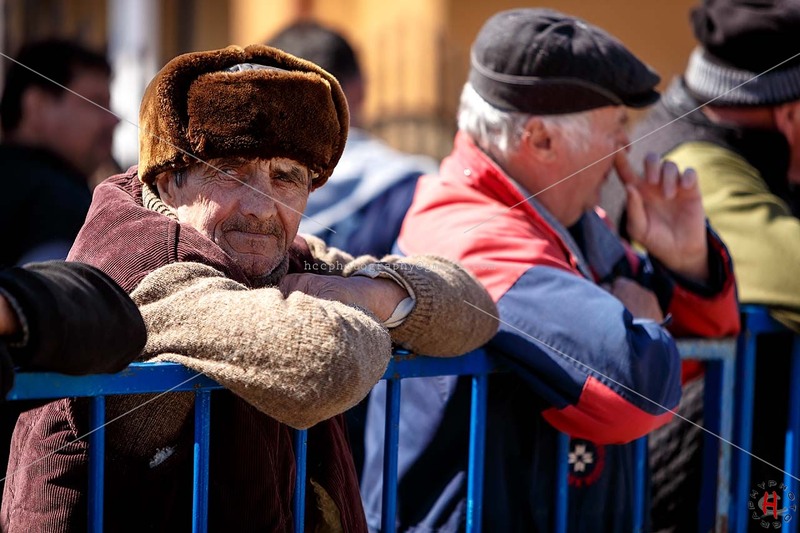 pastele-cailor_20130323_0148-copy_ok