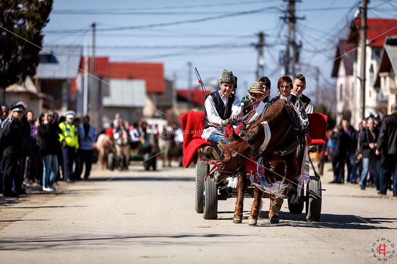 pastele-cailor_20130323_0167-copy_ok