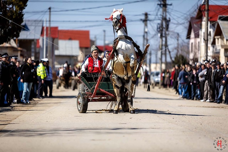 pastele-cailor_20130323_0209-copy_ok