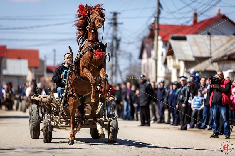 pastele-cailor_20130323_0242-copy_ok