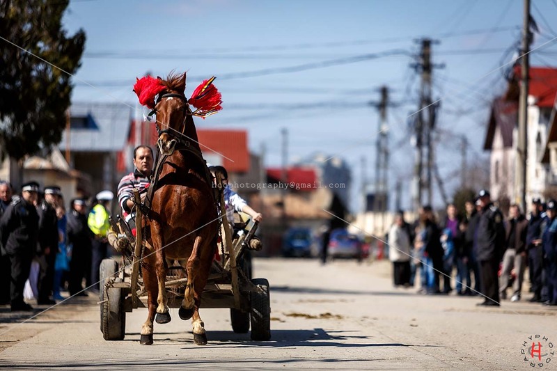 pastele-cailor_20130323_0289-copy_ok