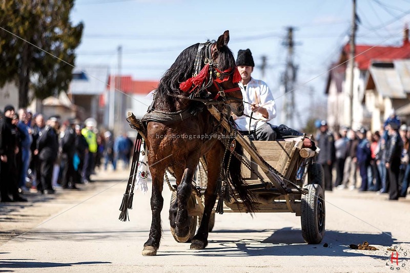 pastele-cailor_20130323_0308-copy_ok