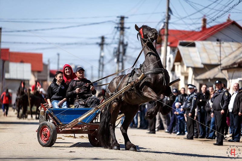 pastele-cailor_20130323_0329-copy_ok