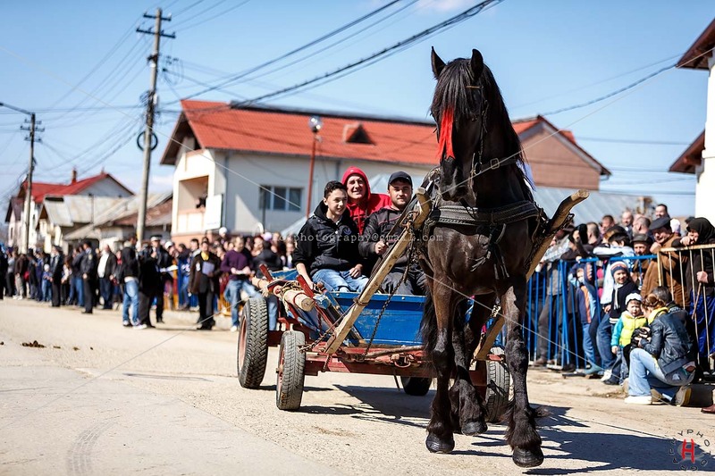 pastele-cailor_20130323_0334-copy_ok