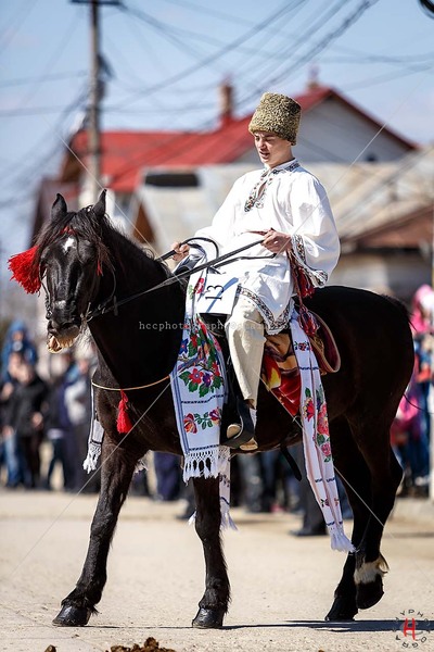 pastele-cailor_20130323_0341-copy_ok