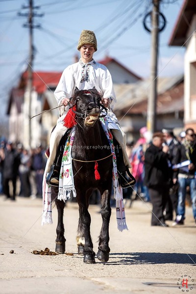 pastele-cailor_20130323_0348-copy_ok