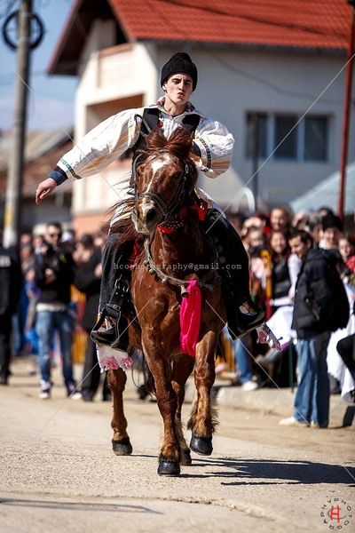 pastele-cailor_20130323_0379-copy_ok