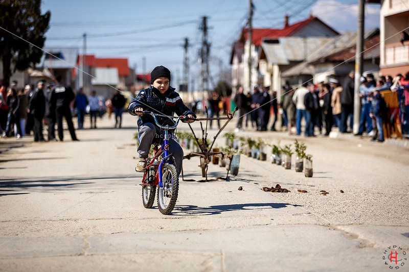 pastele-cailor_20130323_0424-copy_ok