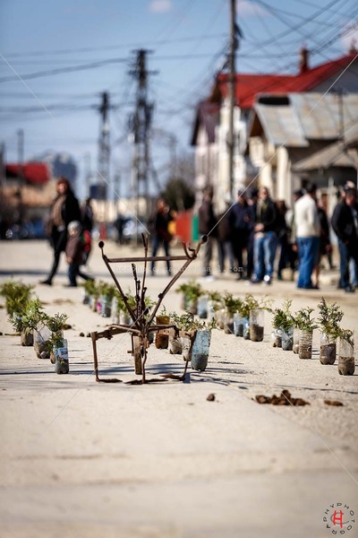 pastele-cailor_20130323_0428-copy_ok