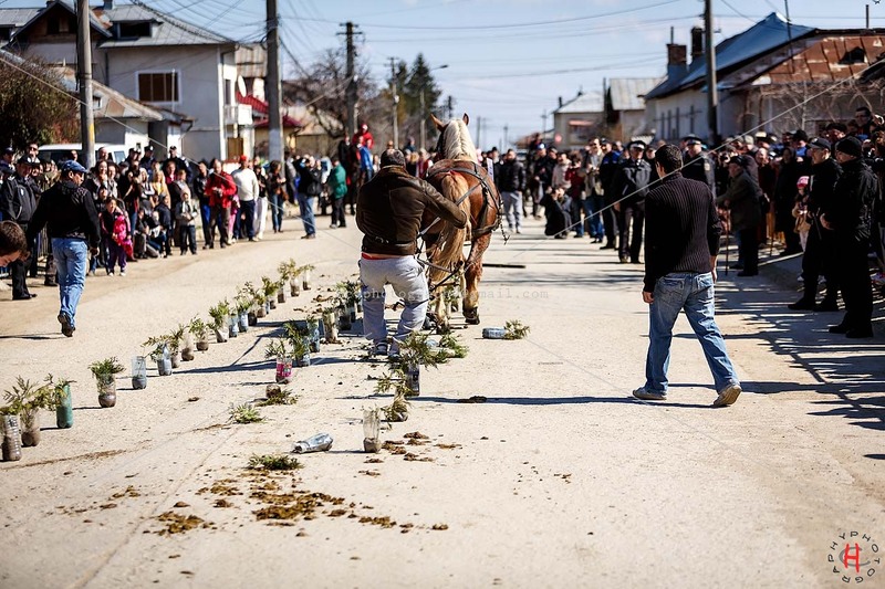 pastele-cailor_20130323_0493-copy_ok