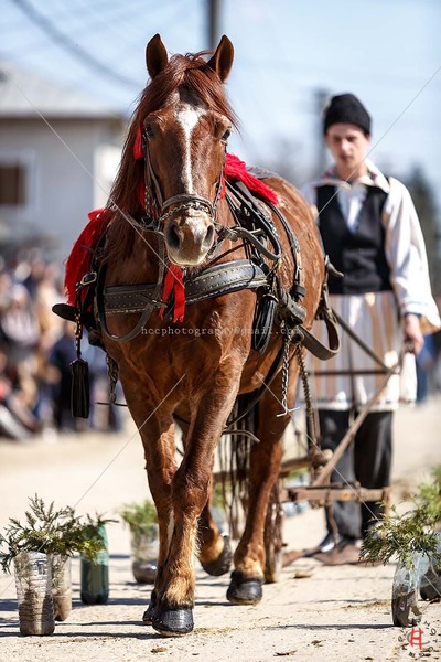 pastele-cailor_20130323_0529-copy_ok