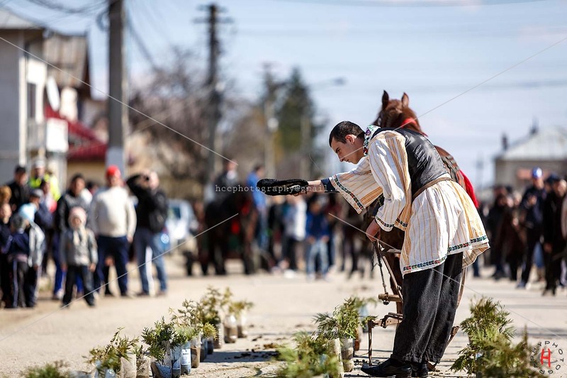 pastele-cailor_20130323_0532-copy_ok