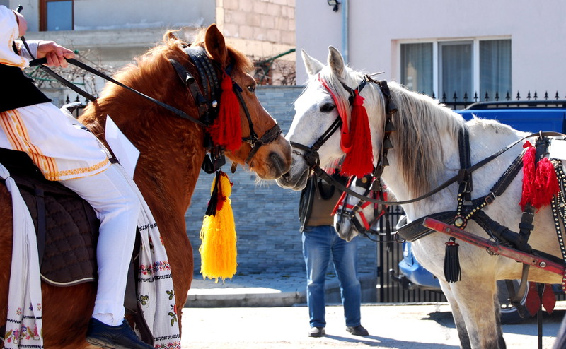 dsc_0210crop-copy_resize