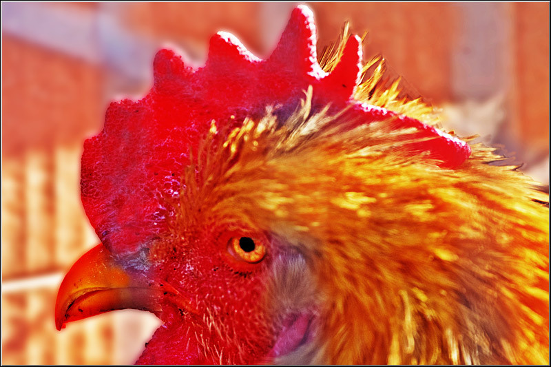 serbanvornicu_t2013_02