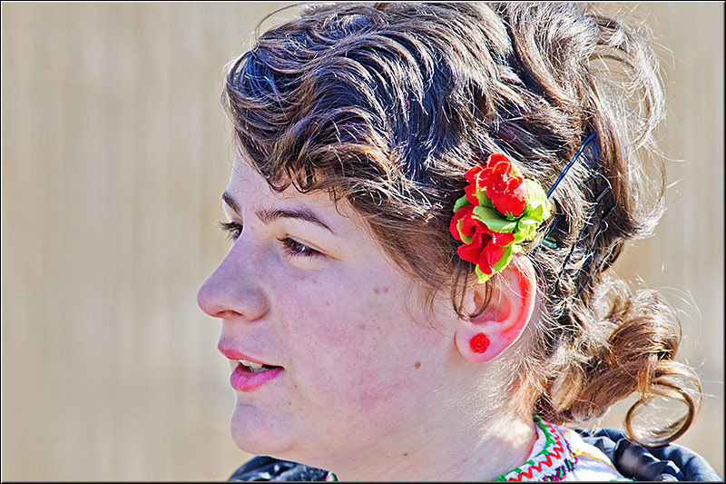 serbanvornicu_t2013_13