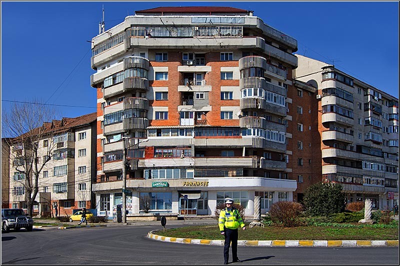 serbanvornicu_t2013_19