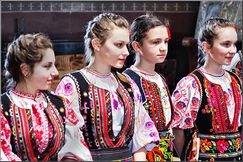 serbanvornicu_t2013_22