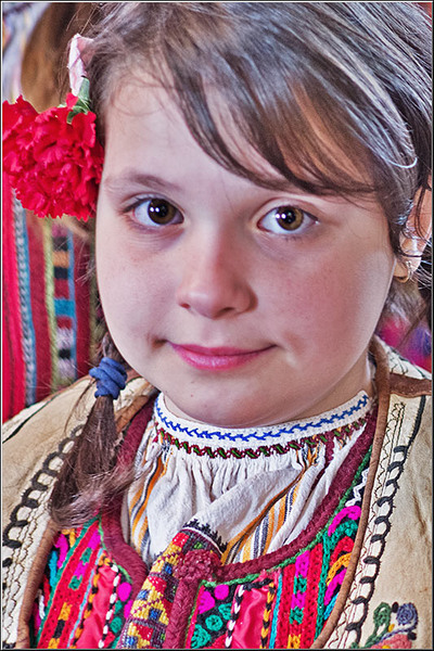 serbanvornicu_t2013_24