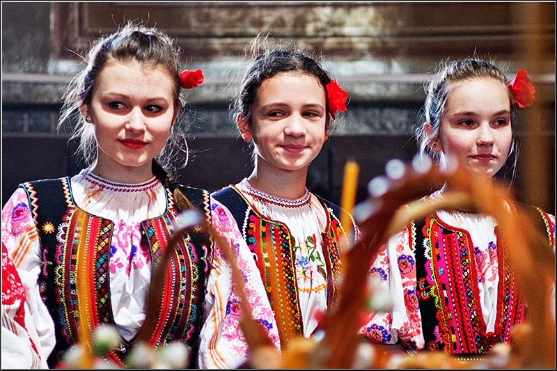 serbanvornicu_t2013_25