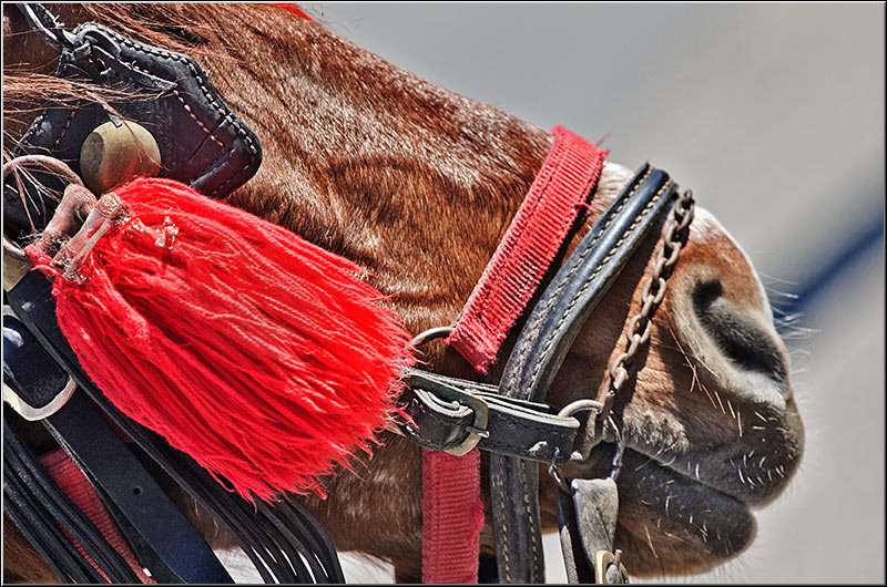 serbanvornicu_t2013_30