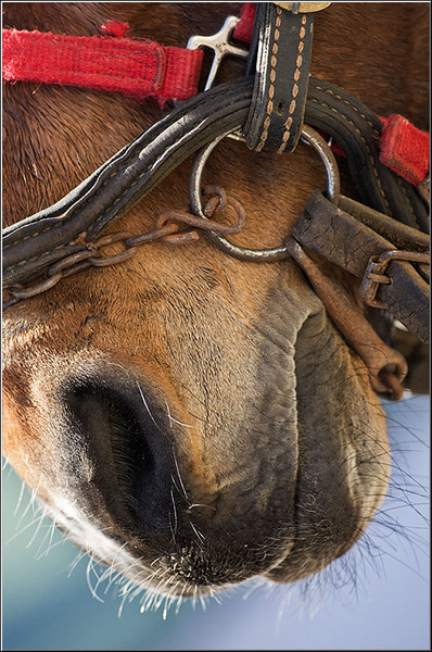 serbanvornicu_t2013_33