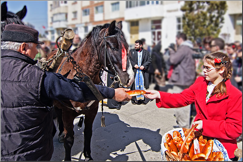 serbanvornicu_t2013_35