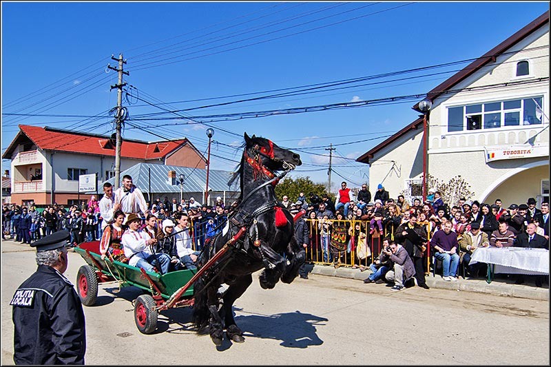 serbanvornicu_t2013_43