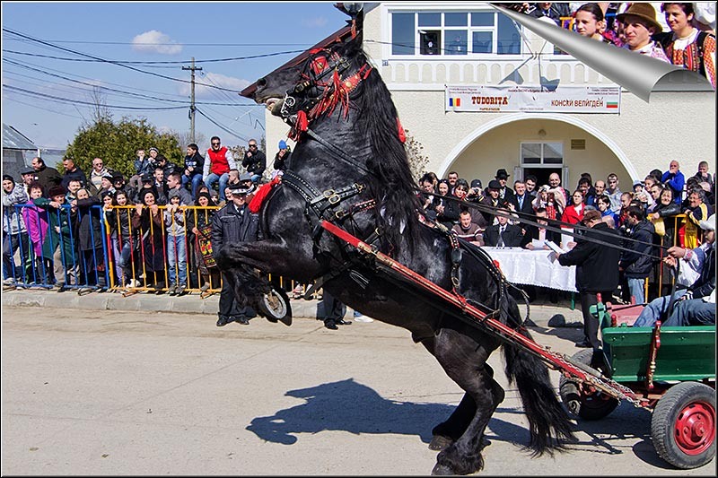 serbanvornicu_t2013_44