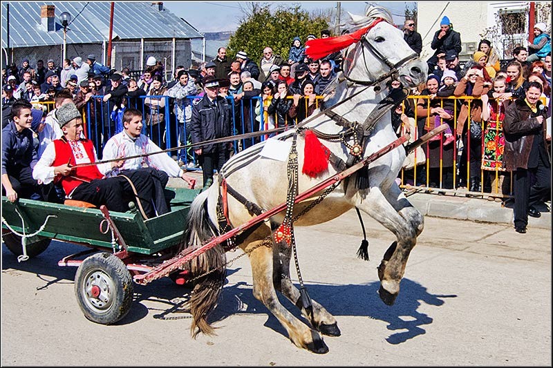 serbanvornicu_t2013_45